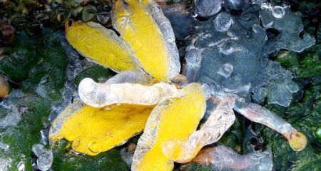 Прохолода затримається на Запоріжжі до травня, &ndash; Центр з гідрометеорології