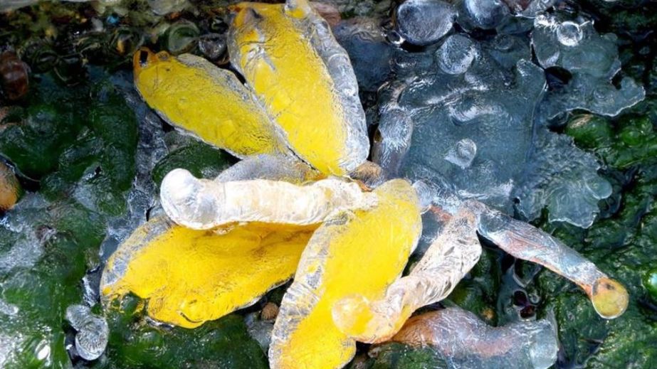 Прохолода затримається на Запоріжжі до травня, &ndash; Центр з гідрометеорології