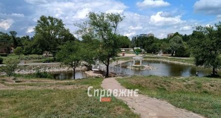 Запрос на озеленение: чего не хватает запорожцам в городских парках