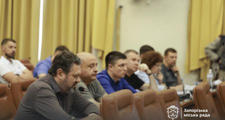 Мільйони на "сенси міста" замість безкоштовного проїзду: запоріжців обурило рішення сесії