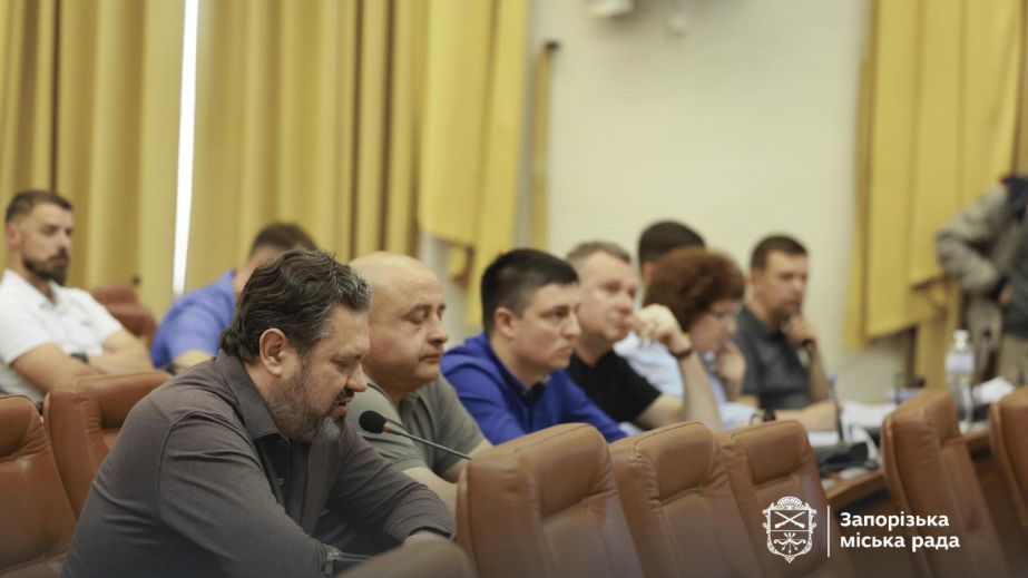 Миллионы на "смыслы города" вместо бесплатного проезда: запорожцев возмутило решение сессии