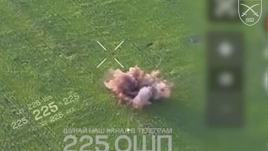 Російський військовий намагався втекти від FPV-дрона біля Гуляйполя &ndash; кадри