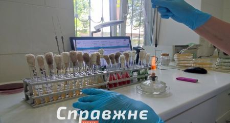 Риски лета в Запорожье: холерный вибрион в воде и рост кишечных инфекций