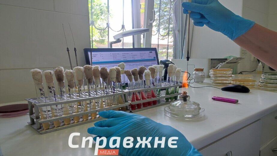 Риски лета в Запорожье: холерный вибрион в воде и рост кишечных инфекций