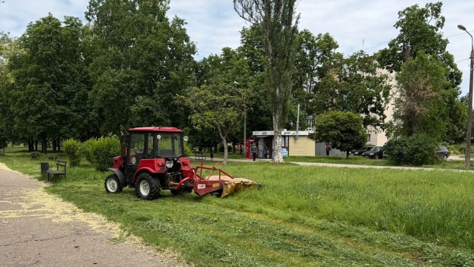 Убрали чащи в центре города: более 100 га зеленых зон выкосили в Запорожье
