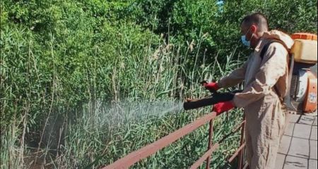Захист від інфекцій: у Запоріжжі обробляють водойми від малярійних комарів