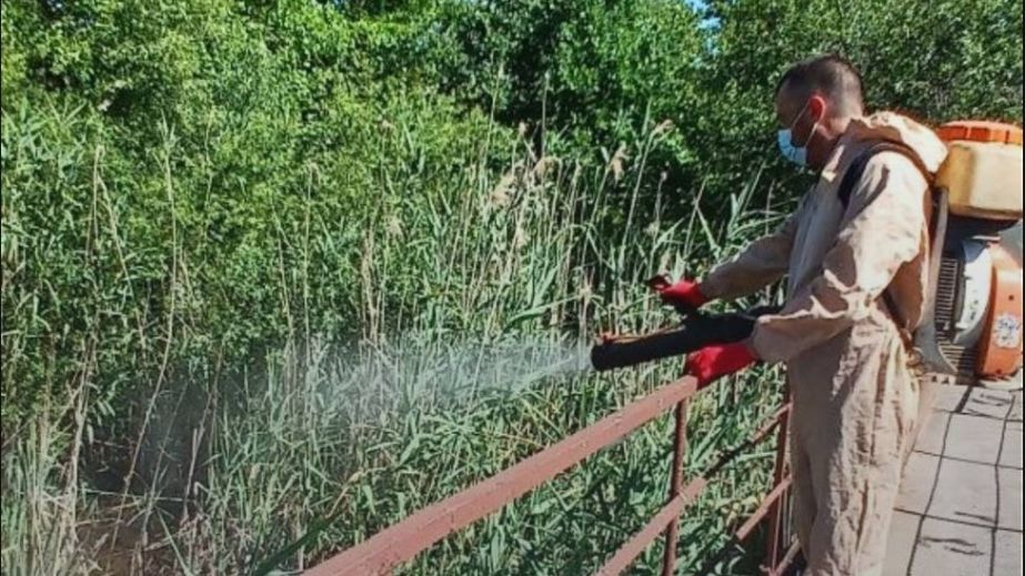 Захист від інфекцій: у Запоріжжі обробляють водойми від малярійних комарів