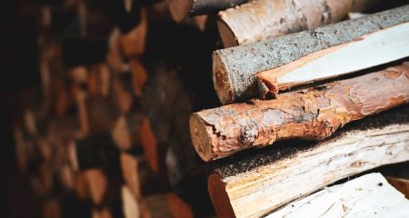 Дрова від знесених дерев у Запоріжжі безкоштовно видадуть пільговикам &ndash; умови