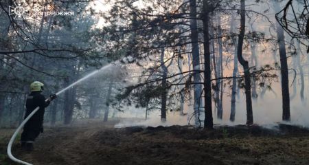 Запорізькі рятувальники гасять пожежі на російських "пелюстках"