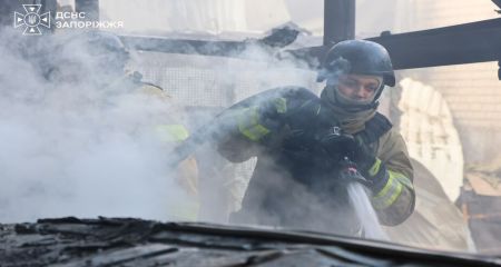 Офис, СТО, частные дома и сухостой горели на Запорожье &ndash; ГСЧС