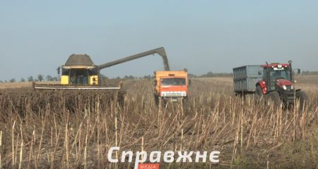 Зернова блокада 2026: запорізькі фермери не можуть продати врожай
