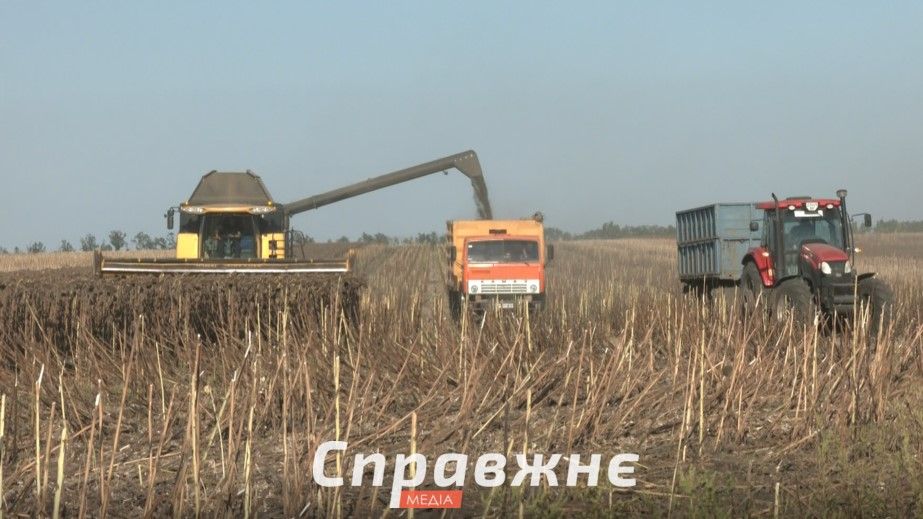 Зернова блокада 2026: запорізькі фермери не можуть продати врожай