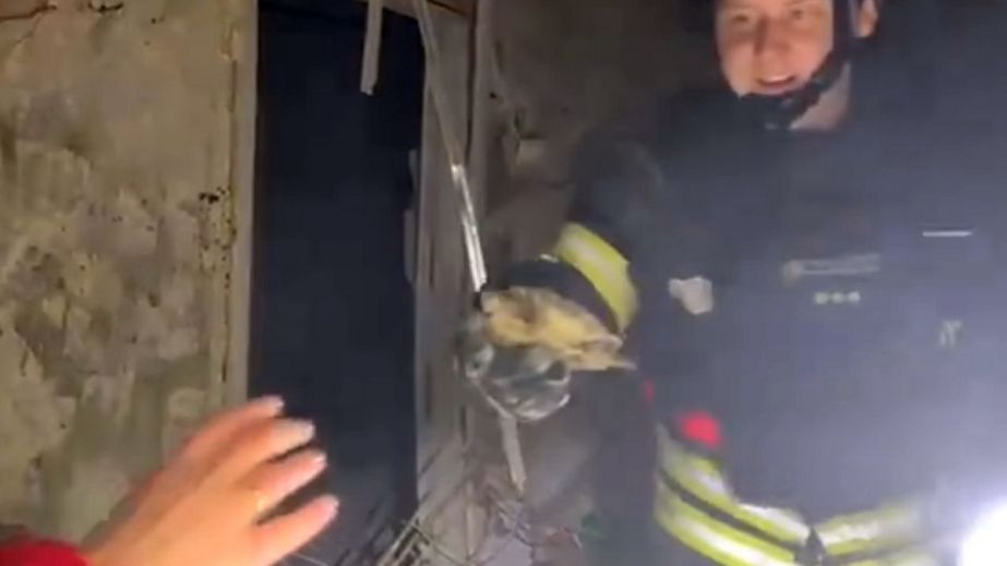 Порятунок черепахи на прізвисько Байрактар з потрощеного дитсадка в Запоріжжі показали надзвичайники