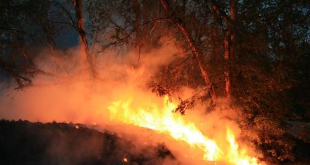 Максимальна загроза: на Запоріжжі вводять 5 клас пожежної небезпеки