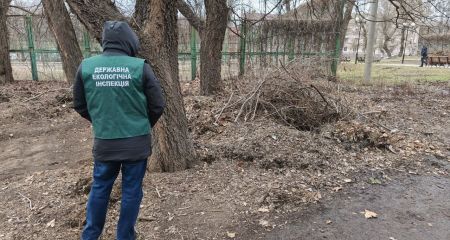 Купу рослинних відходів зафіксували екоінспектори у центрі Запоріжжя