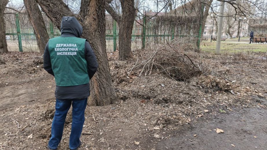 Купу рослинних відходів зафіксували екоінспектори у центрі Запоріжжя