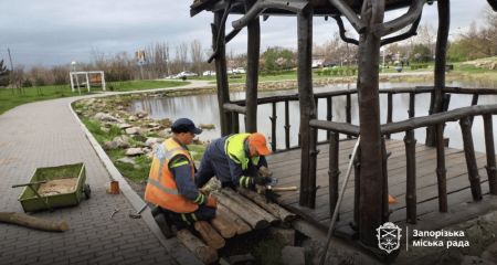 Понад 300 пнів викорчували комунальники в парках та скверах Запоріжжя – як триває благоустрій