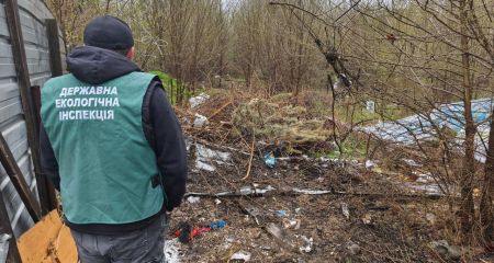 Около 240 м² составила площадь свалки – запорожской власти предоставили месяц для решения проблемы