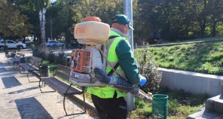 Від кліщів будуть оброблять парк у центрі Запоріжжя