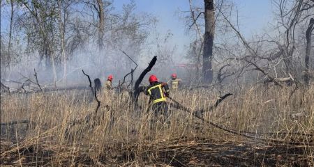 В плавнях Днепра запорожские спасатели ликвидируют очаги возгорания