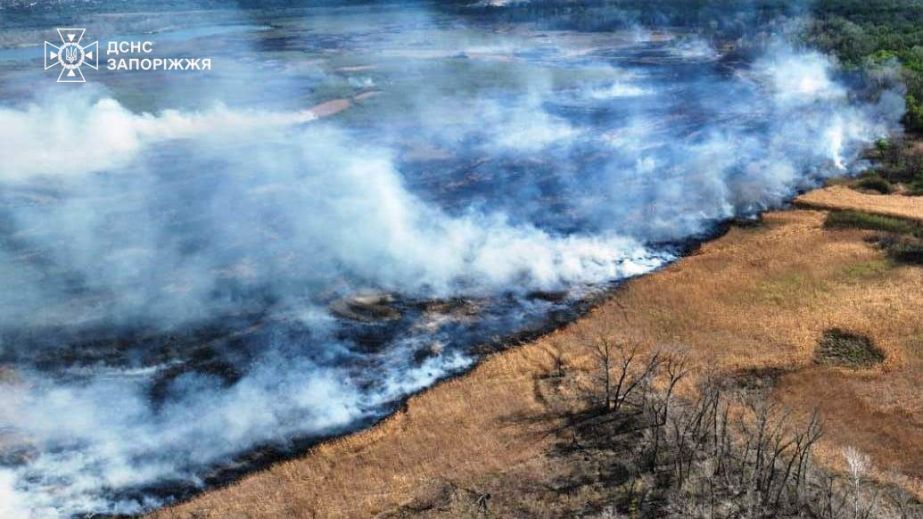 Понад гектар спаленої трави: в екосистемах Запорізької області ліквідували три пожежі за добу