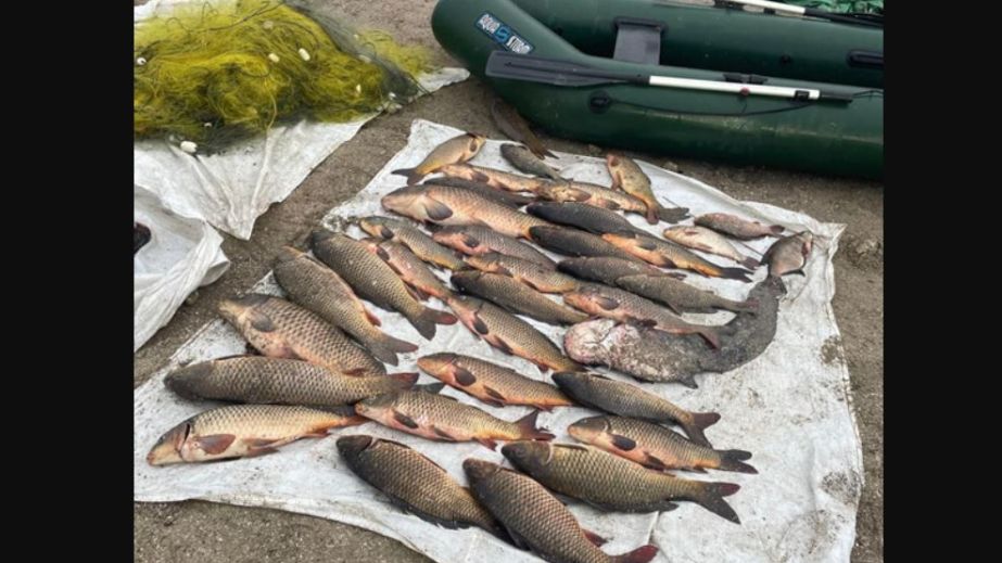 Майже 25 кілограмів риби спіймали за допомогою сітки запорізькі браконьєри