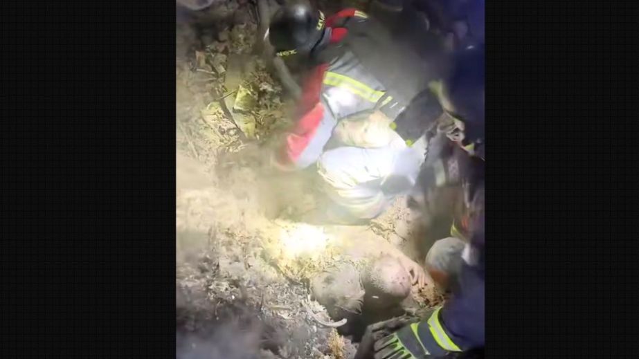 Два человека могут быть под завалами: частный дом разрушен в Запорожье российским ударом