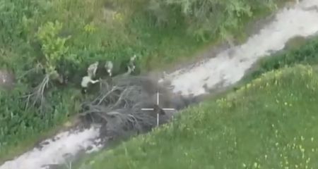 Як ЗСУ знищують російських штурмовиків на Запоріжжі – кадри Сил оборони Півдня