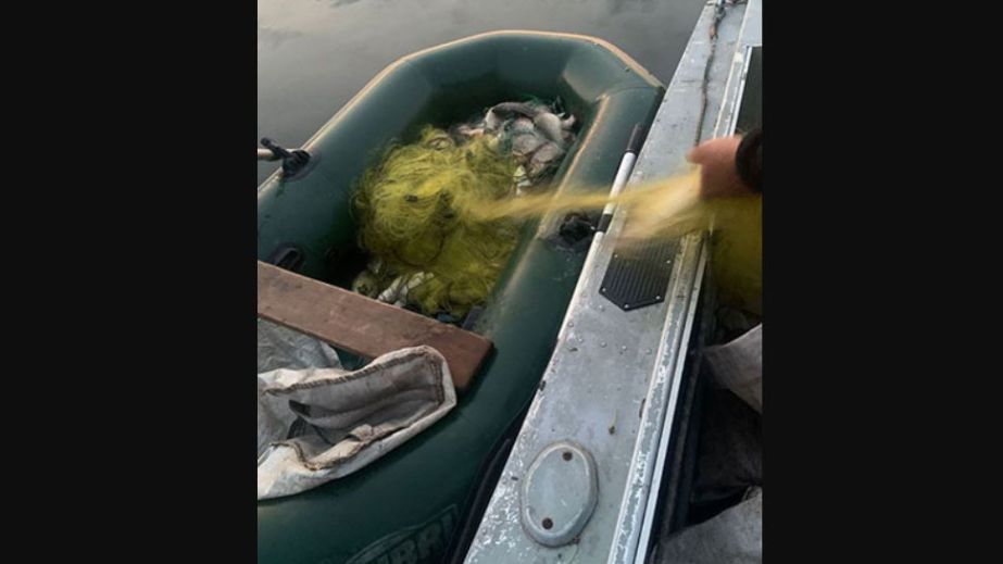 38 браконьєрських сіток вилучено з запорізьких водойм інспекторами рибоохоронного патруля
