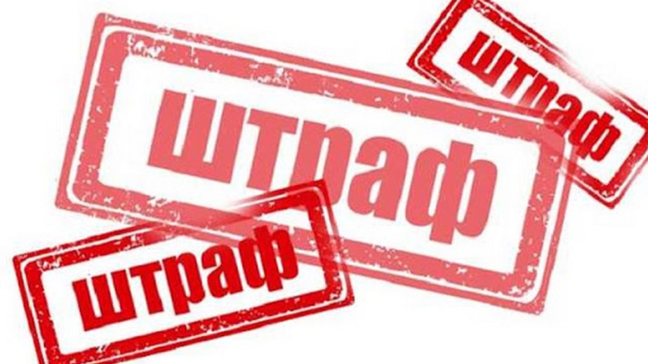 3 миллиона гривен из-за незаконной вырубки деревьев уплатило запорожское госпредприятие