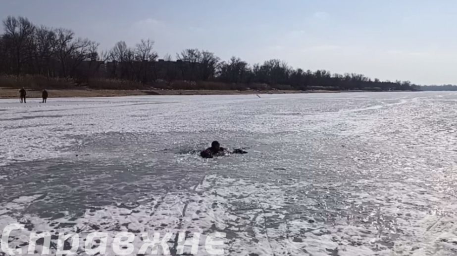 К экспериментам и "упражнениям" в проруби прибегли запорожские спасатели – к чему стремились