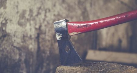 Суд покарав лісників, що не вберегли 48 акацій і сосен під Запоріжжям