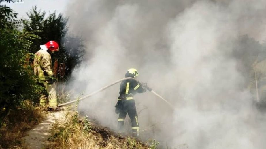 Спасатели потушили в Запорожье пожар на трех гектарах