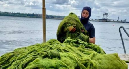 800 кг водоростей щодня вилучають з води біля запорізьких пляжів
