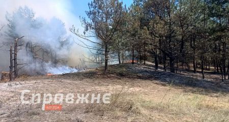 На Запорожье возле базы отдыха, которую бомбили россияне, горит лес