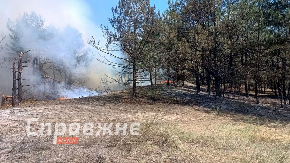 На Запоріжжі поблизу бази відпочинку, яку бомбили росіяни, горить ліс