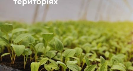 Уряд збільшив державне фінансування аграріїв на прифронтових територіях