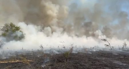 Розповсюдження вогню на Хортиці змогли зупинити