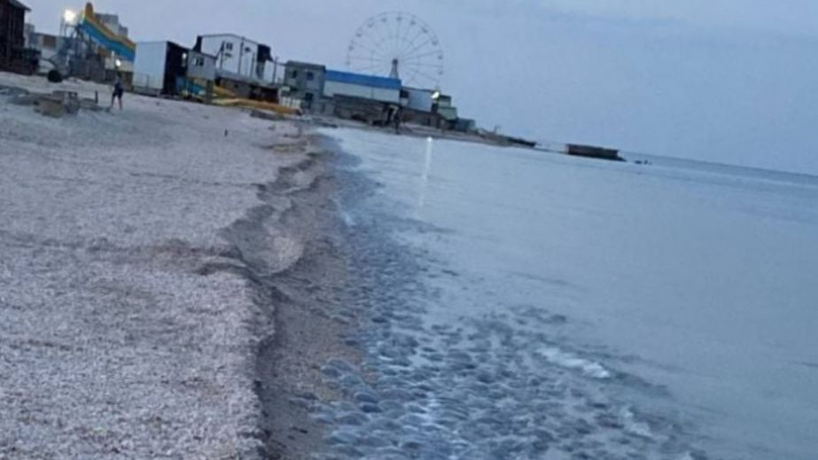 Окупанти придумали новий "туристичний маршрут" по запорізькому Приазов'ю