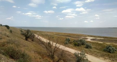 На окупованому Запоріжжі продовжує зникати Молочний лиман: що відомо