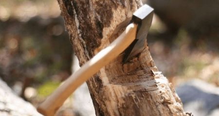 Нарубав на 7 тис. гривень: на Запоріжжі інспектори спіймали браконьєра