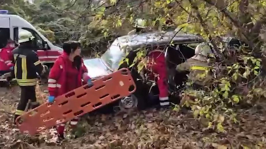 В Запорожье машина влетела в дерево – есть пострадавший