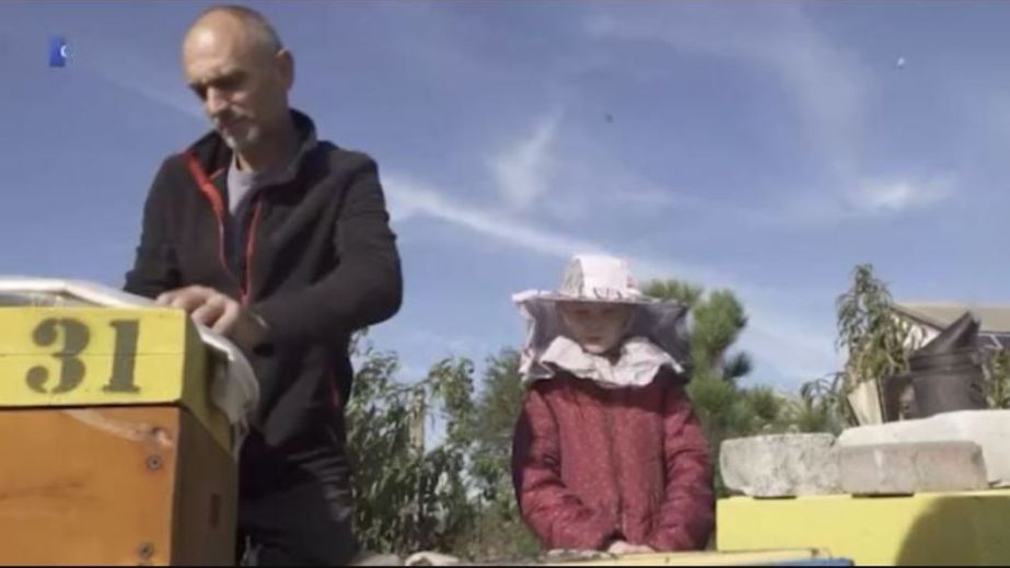 Реєстрацію бджолиних вуликів проводять росіяни на окупованому Запоріжжі