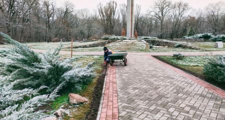 Комунальники озеленили місто на понад 4 млн гривень – міськрада