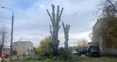 Дерева обрізають у дворах запорізьких багатоповерхівок – кадри