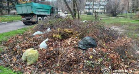 Более 5 тонн мусора убрали во дворе дома в центре Запорожья