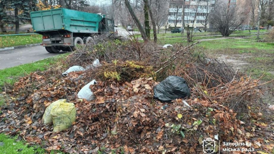 Более 5 тонн мусора убрали во дворе дома в центре Запорожья