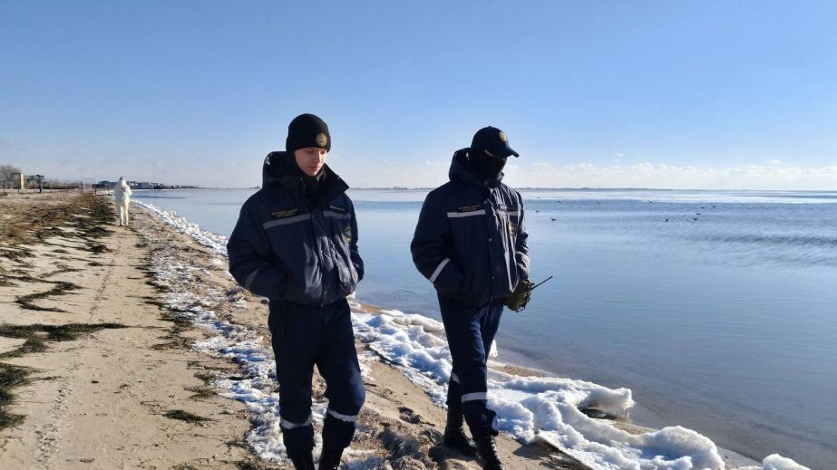Окупанти змушують студентів безплатно прибирати пляжі Бердянська