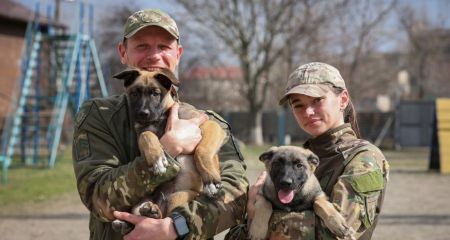 Запорізькі поліцейські розкрили понад 400 злочинів за допомогою службових собак за рік