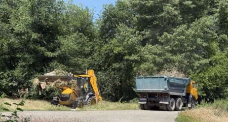 Безпека на дорогах: ще півтора десятка старих дерев спиляли в Запоріжжі